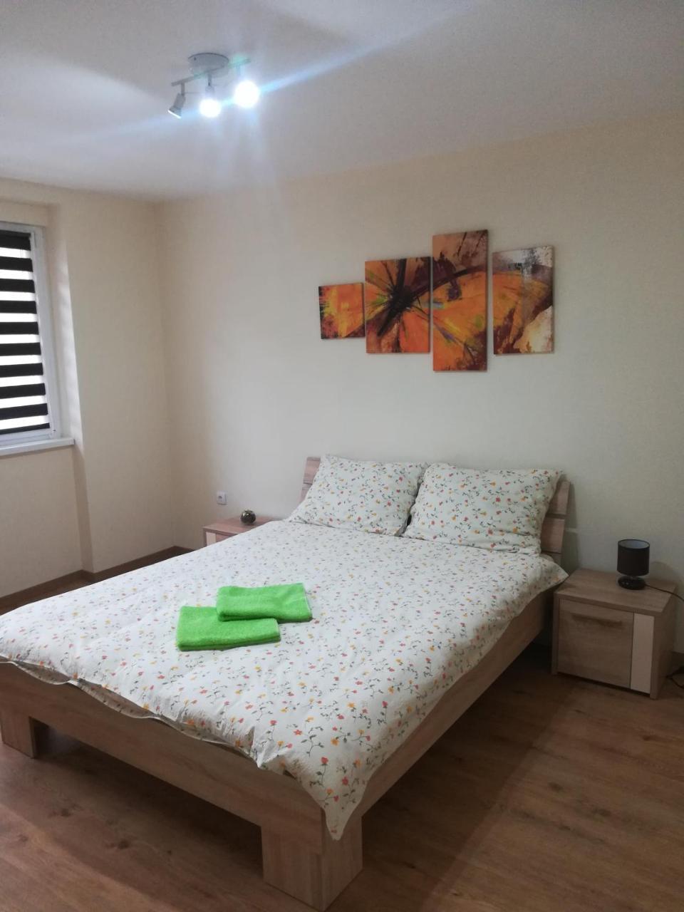 سريمسكا ميتروفيكا Apartment Marija المظهر الخارجي الصورة